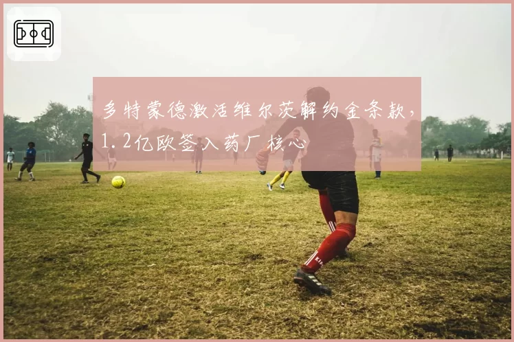 多特蒙德激活维尔茨解约金条款,1.2亿欧签入药厂核心